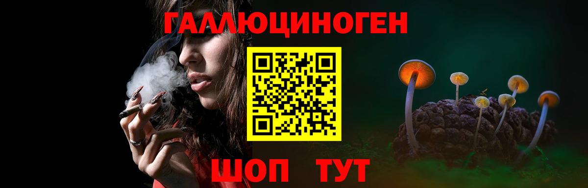 Галлюциногенные грибы ЛСД  Псилоцибиновые грибы мицелий  Вход с VPN  Джанкой 