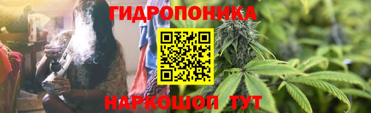 Бошки марихуана VHQ  Вход с VPN  Шишки марихуана семена  Джанкой 